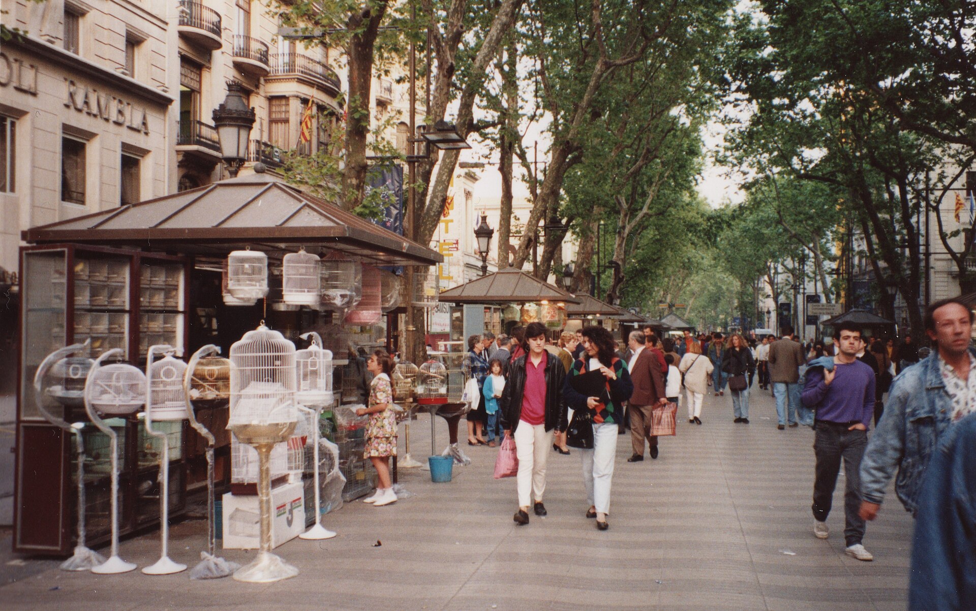The tree-lined Las Ramblas promenade in central Barcelona